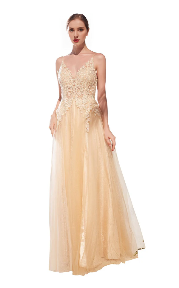 A-line V-neckline sleeveless tight fitting corset with sheer side slits and floor length gowns evening dresses