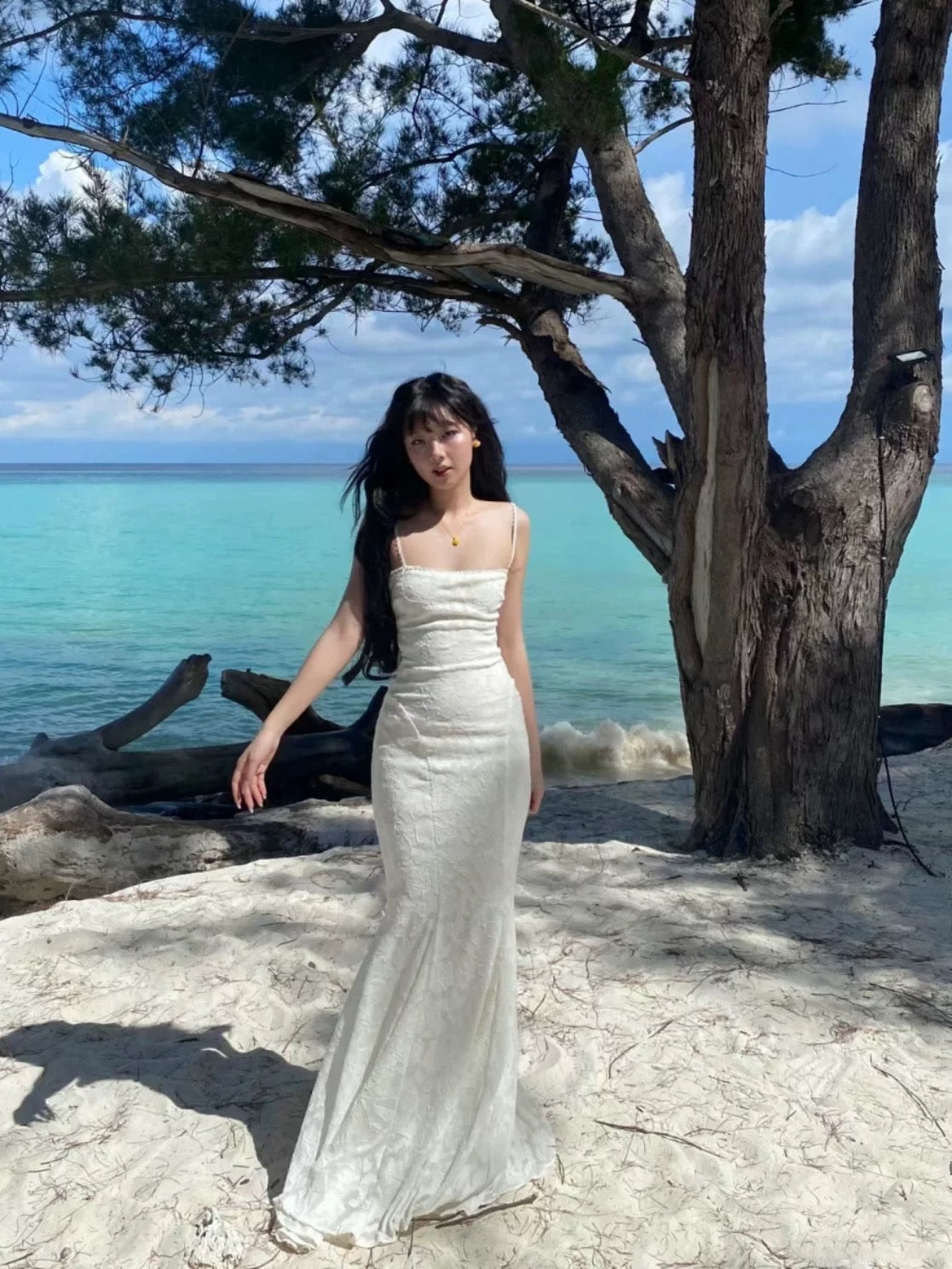 Pretty Mermaid Spaghetti Straps Long Lace Party Dresses Prom Dresses SD2461