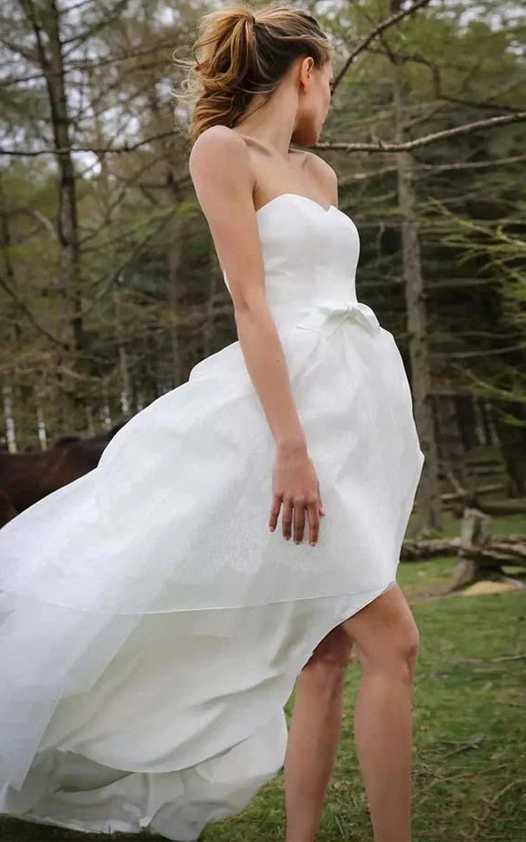 Special High Low Asymmetrical Sweetheart Sleeveless Organza Applique Wedding Dress