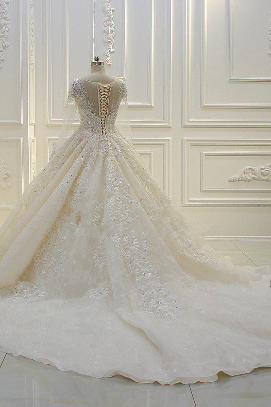 Long Sleeves Ball Gown Wedding Dress with Beading & Lace Appliques
