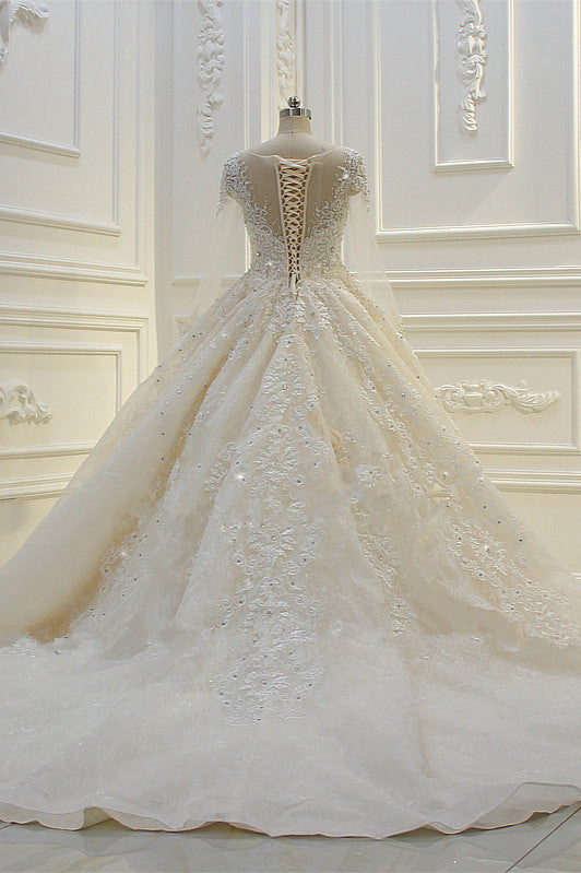 Long Sleeves Ball Gown Wedding Dress with Beading & Lace Appliques