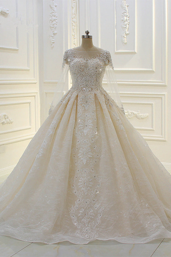 Long Sleeves Ball Gown Wedding Dress with Beading & Lace Appliques